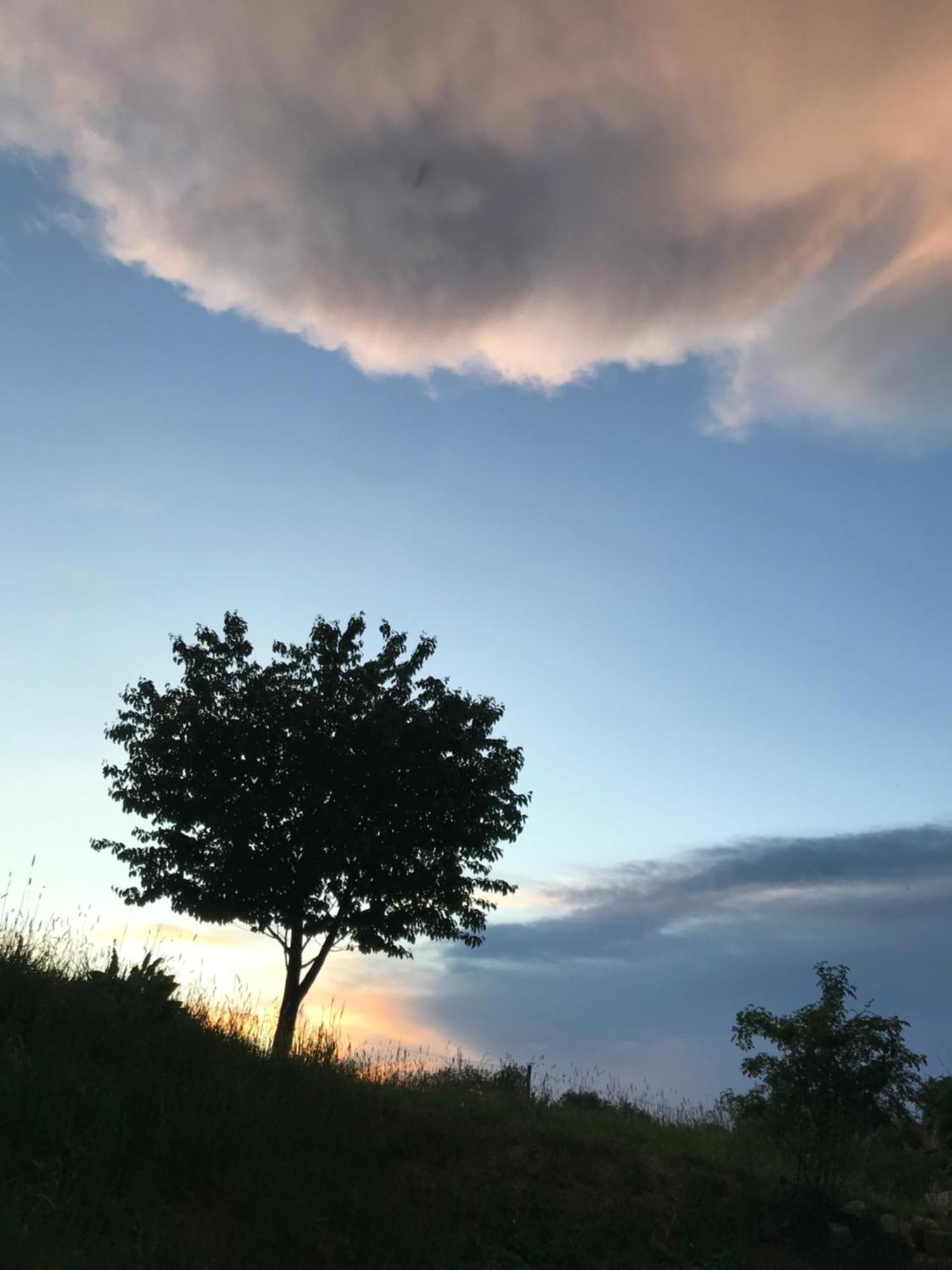 Dom Piwowara Hotell Leśna Exteriör bild