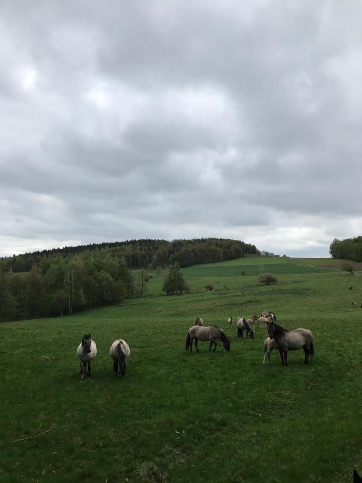 Dom Piwowara Hotell Leśna Exteriör bild