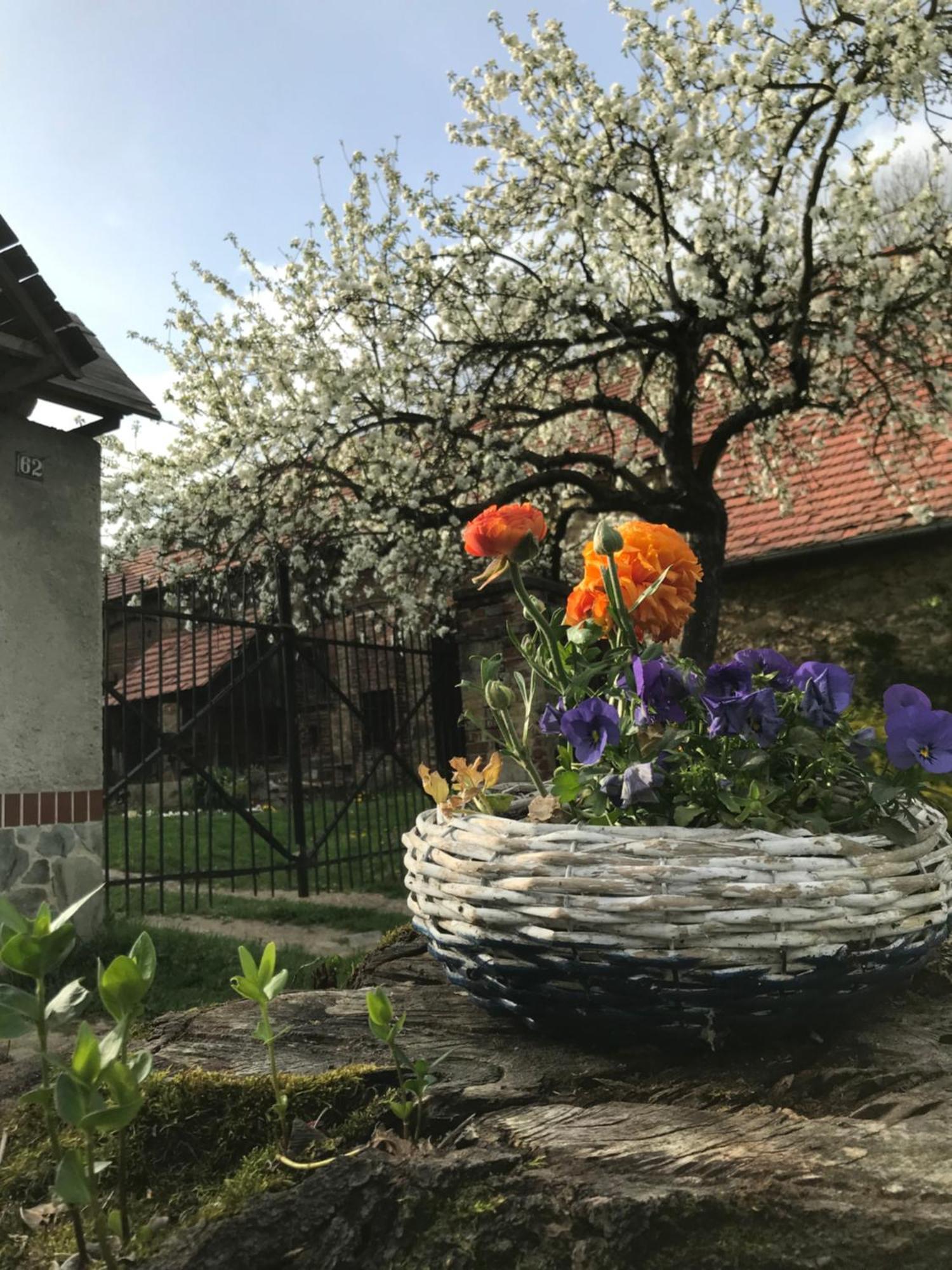 Dom Piwowara Hotell Leśna Exteriör bild