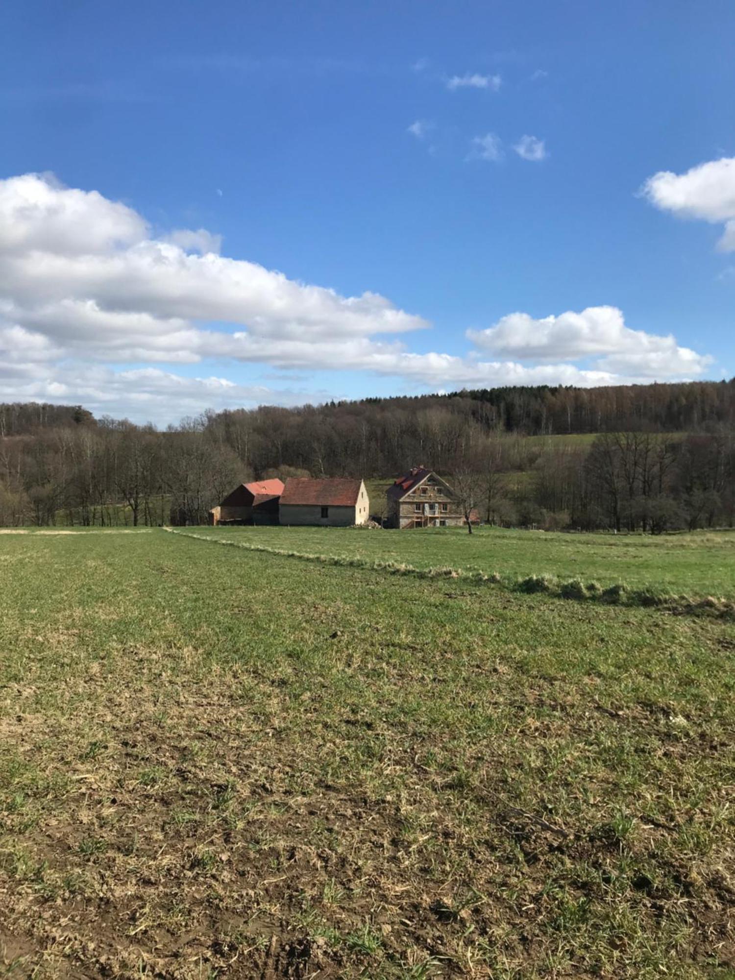 Dom Piwowara Hotell Leśna Exteriör bild